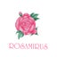 画像 ROSAMIRUS（ロサミルス）のブログのユーザープロフィール画像