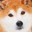 zaoのサムネイル