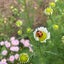 りう☆のサムネイル
