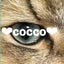 画像 愛猫♡とスピリチュアルでふわふわ生きる。のユーザープロフィール画像
