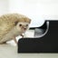 rockinmouseのサムネイル