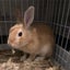ゆう☻*のサムネイル