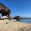 うさこちゃんのサムネイル