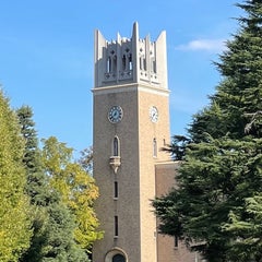早稲田大学を目指すアラフィフのプロフィール