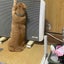 ara-six16のサムネイル