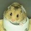 Qutanのサムネイル
