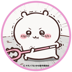 海老春 まきのプロフィール