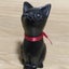 画像 黒猫ジジ、まったりプランター菜園のユーザープロフィール画像