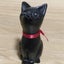 黒猫ジジのサムネイル