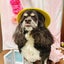 ok_tmのサムネイル