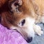 ranmiki1027のサムネイル