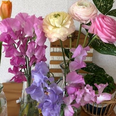 もとまいのプロフィール