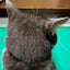 kushiruyuminのサムネイル