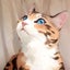 百々マミーのサムネイル