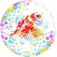 goldfish888@すあかのサムネイル