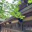 わすれんぼのサムネイル