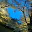 画像 大阪から青森県を発信青森BAR HANETOのユーザープロフィール画像