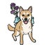 画像 「犬と福祉」犬のふだんのくらしをしあわせにするブログのユーザープロフィール画像