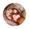 猫たちと暮らす主婦のプロフィール