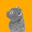 ぷくちゃんのサムネイル