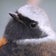 コーヒー6杯の野鳥ブログ