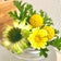 うたの宿根草記録と家庭菜園♪