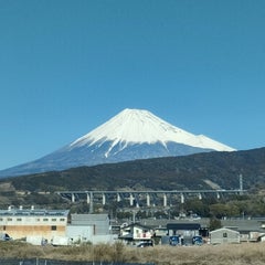 たこのすけのプロフィール