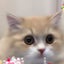jeyのサムネイル