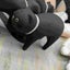 シン・たまごのサムネイル