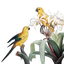 スノコのサムネイル