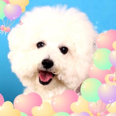 シェリィママのプロフィール