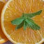 画像 ダンシャリアン　オレンジミント　のユーザープロフィール画像