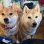 ゆにのサムネイル