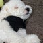 ～hanahana～🍀のサムネイル