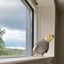 pinoのサムネイル