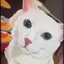 月ノ森 夢乃のサムネイル