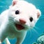 ノーム工房のサムネイル