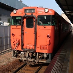 純全さんのプロフィール