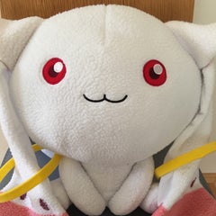 seisのプロフィール