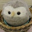 沙倉えみのサムネイル
