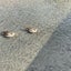 きよみんのサムネイル
