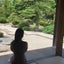 うさのサムネイル
