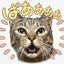 minのサムネイル