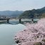 やまてのサムネイル