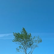 aのおすすめのサムネイル
