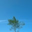 aのサムネイル
