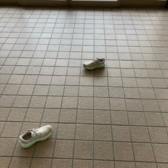 mi-imsのプロフィール