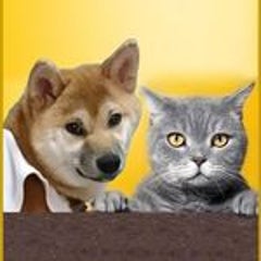 INUNEKOHONPOのプロフィール