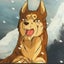 画像 メンヘラ野良犬狂犬病マルチーズぽぴぴぽ教皇２世の執事はアディクトジャンキーシマコーその日暮らしなのんきな風来坊。のユーザープロフィール画像