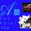aran7のサムネイル